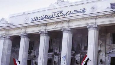 إحالة أوراق ربة منزل ونجلتها للمفتي