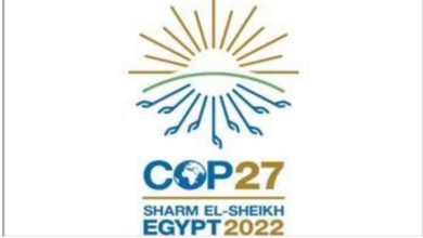 خبير تسويق: فعاليات COP27 تسعى لإجراءات شاملة تقلل التغيّر المناخي