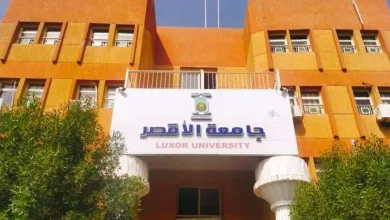 إعلان نتائج انتخابات اتحاد طلاب جامعة الأقصر.. محيي الدين عبدالرازق رئيسا