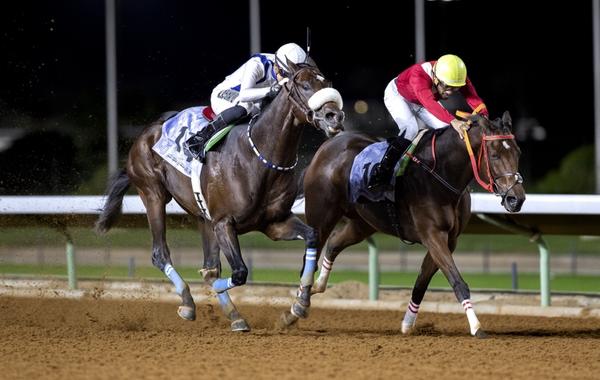 ترقب في أوساط عشاق الخيل لـ"كأسي ولي العهد" بنسختهما الـ57