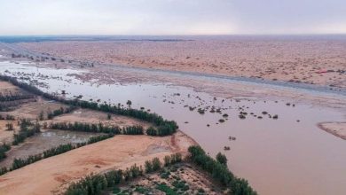 الزعاق: الأودية مصدر للمياه وتجدد تربة الأرض للزراعة وتلطف الأجواء