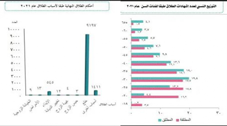 العاصمة وحديثو الزواج يمثلون النسبة الأعلى فى الظاهرة