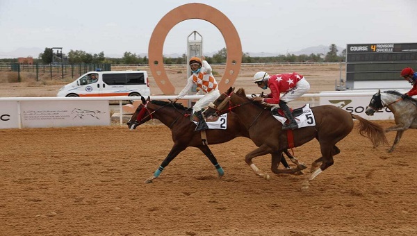 انطلاق مهرجان منصور بن زايد للخيول العربية الأصيلة بمضمار مراكش غداً