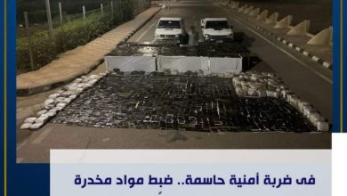 جنوب سيناء: ضبط مواد مخدرة بحوزة 3 عناصر إجرامية