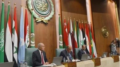 شكري: يجب إيجاد حلول عربية للقضايا العربية ولا حل عسكريا للأزمة السورية