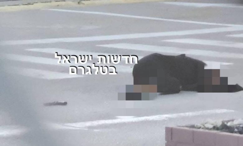 ظنوا أنها فلسطينية.. مقتل مجندة برصاص جيش الاحتلال في الخليل