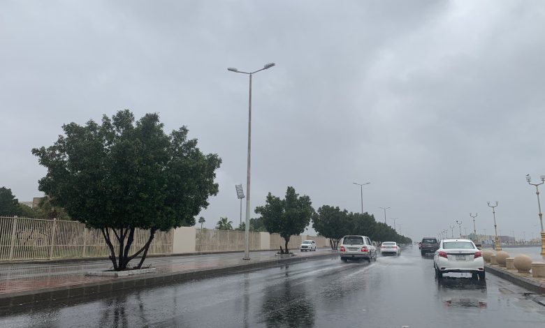 منها الرياض ومكة.. "الأرصاد" يتوقع أمطارًا رعدية ورياحًا نشطة على هذه المناطق -