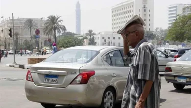 نشرة «تليفزيون الوطن».. نصائح مهمة من «الأرصاد» لمواجهة تقلبات الربيع