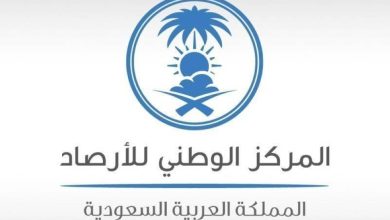 أمطار رعدية مصحوبة بزخات من البرد على أجزاء من مناطق المملكة - أخبار السعودية