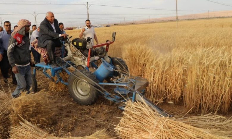 العامة للصوامع: استحداث منظومة لتداول ومتابعة سير الأقماح ومنع أي تلاعب