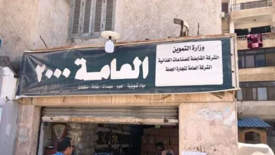 ضخ كميات جديدة من اللحوم البرازيلية في 10 مناطق بالإسماعيلية.. الكيلو بـ160 جنيها