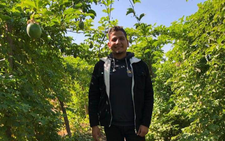 مؤسس مشروع زراعة فواكه استوائية: أسعارها تتجاوز 500 جنيه.. وناس كتير مش هتاكلها غير في الجنة