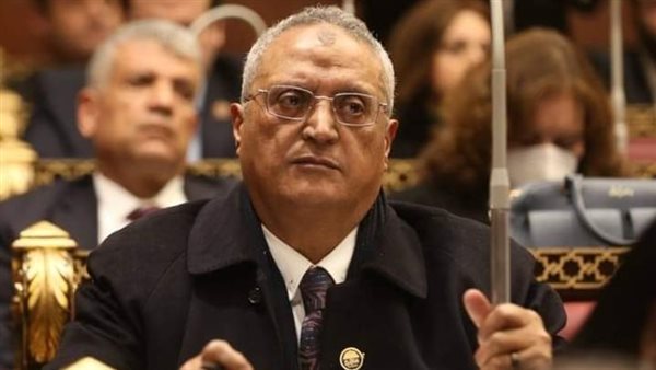 مشاركة مصر بالمبادرة الأفريقية المشتركة لتسوية الأزمة الروسية يكشف الاحترام العالمي لدورها