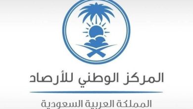 «الأرصاد»: أمطار رعدية مصحوبة برياح نشطة وزخات من البرد على 3 مناطق - أخبار السعودية