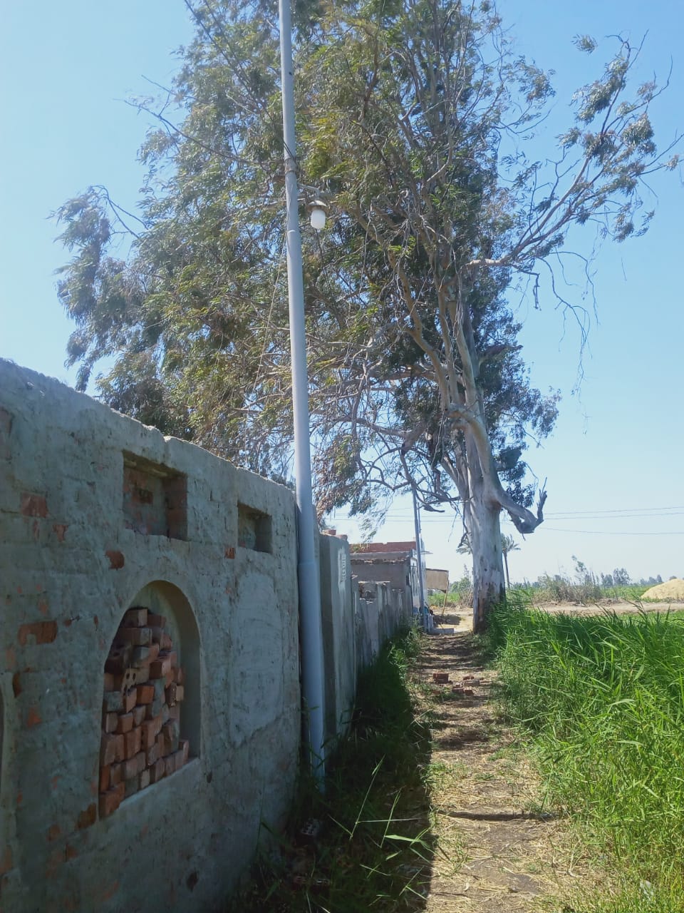 IMG-20230727-WA0030
