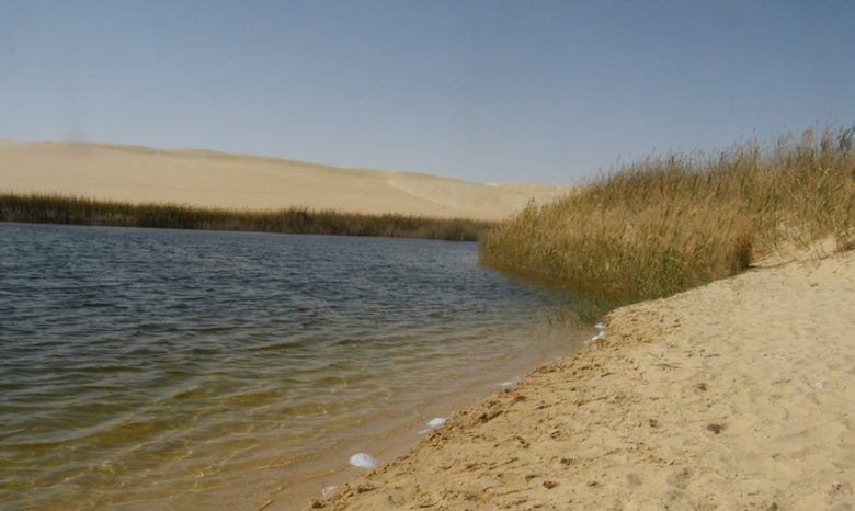 واحة سيوة