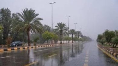 «الأرصاد»: أمطار متوسطة إلى غزيرة على محافظات الجموم وخليص وجدة - أخبار السعودية