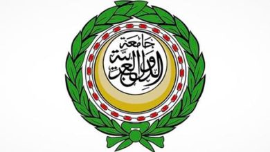 الجامعة العربية وأكرانيا تؤكدان أهمية تجديد العمل بمبادرة البحر الأسود للحبوب