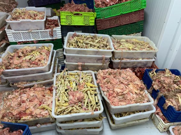السلطات في تطوان تحجز 6 أطنان من لحوم الدجاج والأسماك الفاسدة (صور)