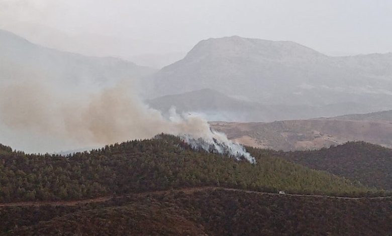 حريق جديد يندلع في غابة مغراوة بتازة