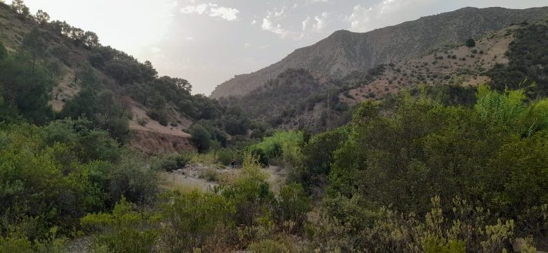 مستشار برلماني يطالب بإنجاز سد أجريت دراساته التقنية منذ التسعينات