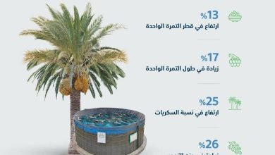 «البيئة»: ري النخيل بمياه الاستزراع السمكي.. تجربة سعودية ناجحة في زيادة إنتاجية التمور - أخبار السعودية