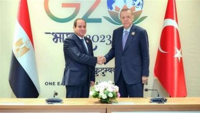 السيسي وأردوغان يؤكدان أهمية العمل من أجل دفع مسار العلاقات بين البلدين - أخبار السعودية