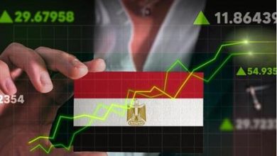 البورصة المصرية تربح 315 مليار جنيه خلال أول 8 أشهر من العام الجاري