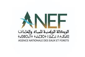 برلمانية تستفسر عن سبب تحويل وكالة المياه والغابات لمنحة مالية لحساب جمعية سابقة