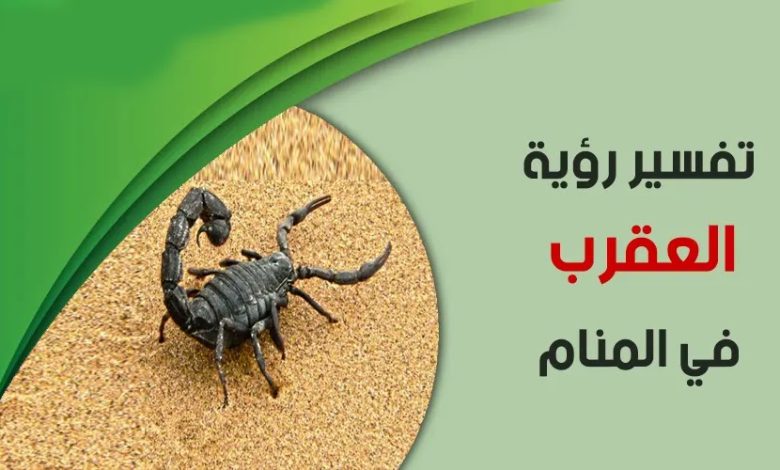 تفسير حلم العقرب في المنام