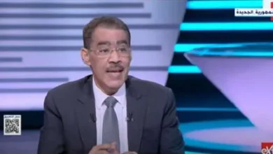 ضياء رشوان: الجلسات الخاصة في الحوار الوطني مغلقة وليست سرية ويديرها متخصصون