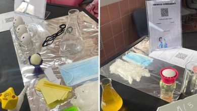 طالبات الثانوية الثانية بالوجه يُثقفن النشْء عن أهمية الكيمياء في حياتنا اليومية - أخبار السعودية