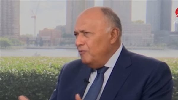 الارتقاء بالعلاقات إلى مستوى الشراكات الاستراتيجية مع عدد من الدول
