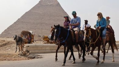 إيران تدرس إعادة العلاقات السياحية مع مصر وإلغاء التأشيرات مع السعودية