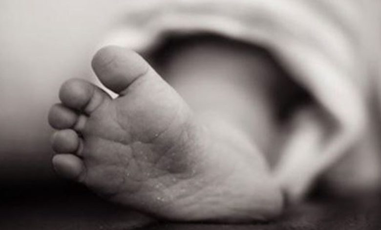العثور على طفلة حديثة الولادة داخل حظيرة مواشي بالشرقية