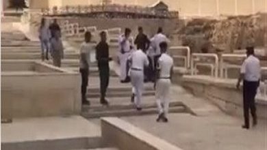 النيابة الإدارية: حادث الإسكندرية عشوائي ويجب وضعه بمكانه الطبيعي وإغلاقه إعلاميًا