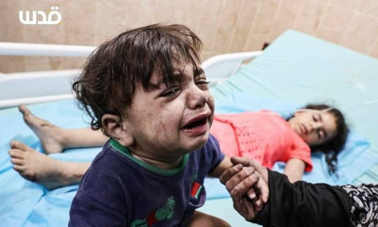 بعضهم استهدفهم الاحتلال في "المناطق الآمنة": 352 شهيدا في غزة خلال 24 ساعة