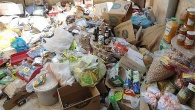 ضبط 12 طن مواد غذائية وتحرير 1666 محضرا لمخالفات متنوعة في الغربية