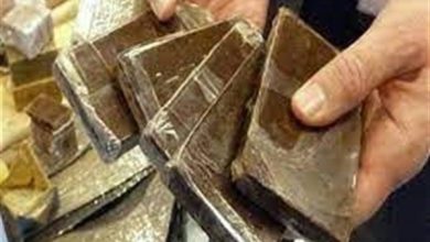ضبط 575 طربة حشيش بحوزة عنصر إجرامي بالإسكندرية