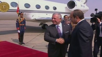 لبحث وقف العنف في غزة.. قمة مصرية أردنية بالقاهرة