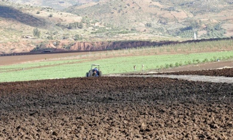 تأخر التساقطات في نونبر يثير مخاوف الفلاحين المغاربة من شبح استمرار الجفاف