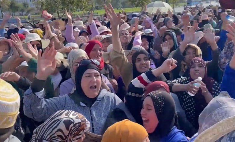 القضاء ينتصر لحومة الشوك