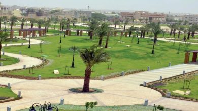 أمانة عسير تعيد تأهيل وتطوير 11 حديقة ودعمها بالمرافق والخدمات