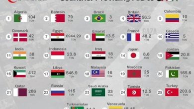 البحرين قدمت 79 طن.. الهلال الأحمر المصري يصدر بيانًا بحجم المساعدات الإنسانية لـ «غزة»
