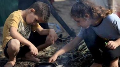 الغذاء العالمي: 2.2 مليون شخص في غزة يحتاجون إلى مساعدات غذائية عاجلة