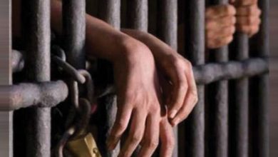 القبض على 3 لصوص لقيامهم بسرقة هواتف محمولة في الجمالية والزيتون