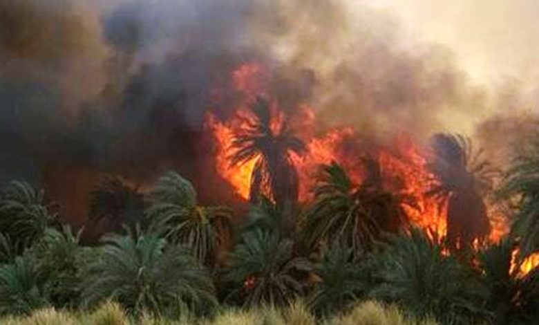أرشيفية