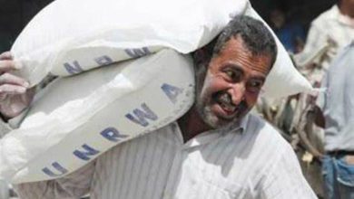 إسرائيل تخطط لإخراج«الأونروا» من غزة - أخبار السعودية