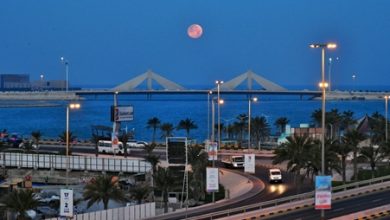 الأرصاد: الطقس معتدل خلال النهار مع وجود ضباب الليلة في بعض المناطق