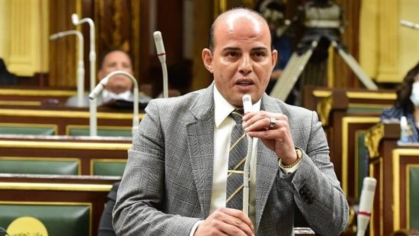 الانتخابات الرئاسية تعزز المناخ الديمقراطي والمشاركة واجب وطنى